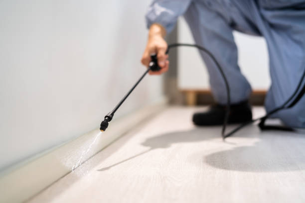 Licensed Mosquito Control service in Erda, UT - Nex Pest Control