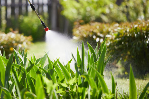 24/7 Emergency Mosquito Control experts in Erda, UT